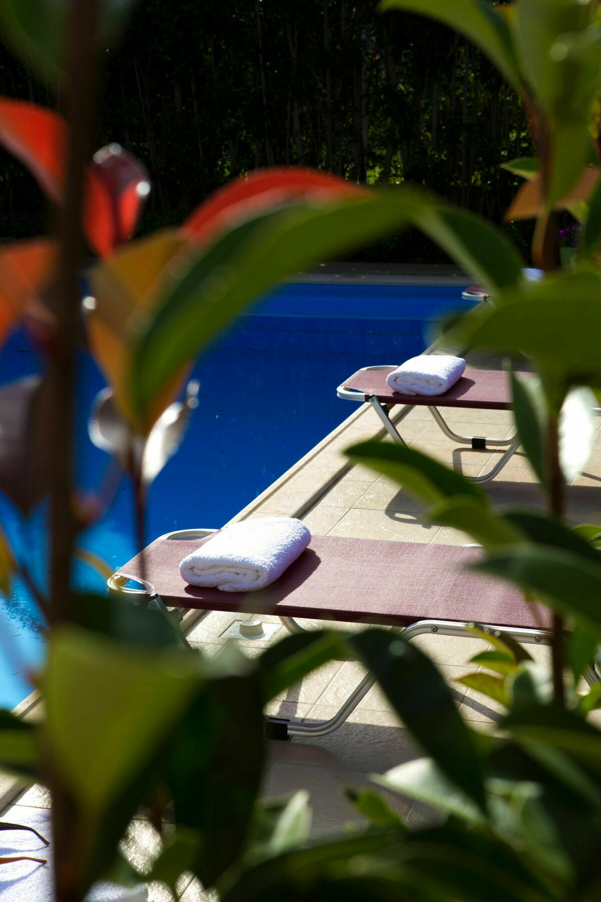 Exanthia Villas * Exanthia
